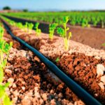 Ministerio Agropecuario realiza acompañamiento a pequeños productores Ministerio Agropecuario realiza acompañamiento a pequeños productores