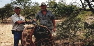 El cazador más famoso de Sudáfrica es asesinado a tiros