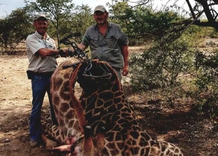 El cazador más famoso de Sudáfrica es asesinado a tiros