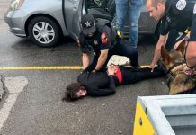 Arrestan a Rober Crimo presunto autor de masacare en Illinois Arrestan a Rober Crimo presunto autor de masacare en Illinois