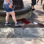 Niño sobrevive a la masacre de Highland Park bajo los cuerpos de sus padres Niño sobrevive a la masacre de Highland Park bajo los cuerpos de sus padres