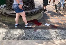 Niño sobrevive a la masacre de Highland Park bajo los cuerpos de sus padres Niño sobrevive a la masacre de Highland Park bajo los cuerpos de sus padres
