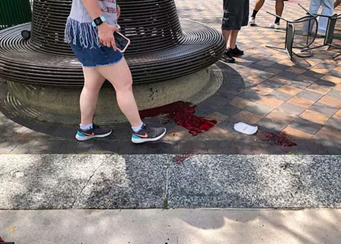 Niño sobrevive a la masacre de Highland Park bajo los cuerpos de sus padres