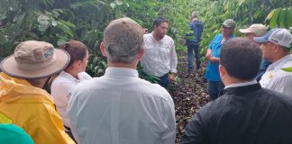 INTA realiza visita de campo en parcelas de Productores de Café