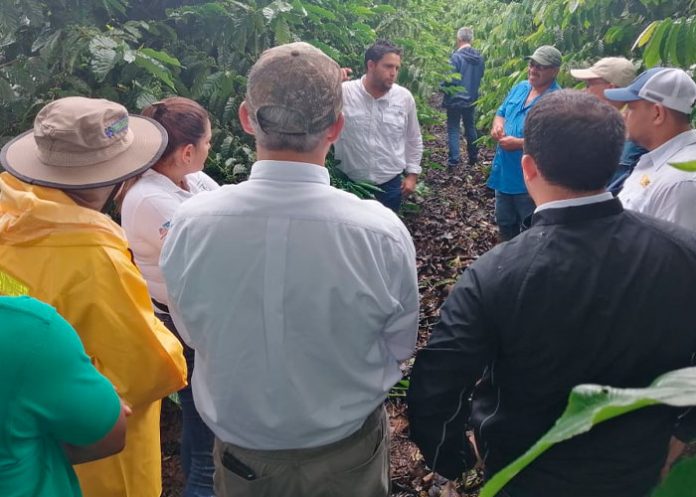 .5 INTA realiza visita de campo en parcelas de Productores de Café