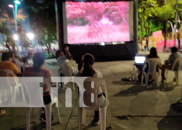 Cinemateca Nacional realiza 