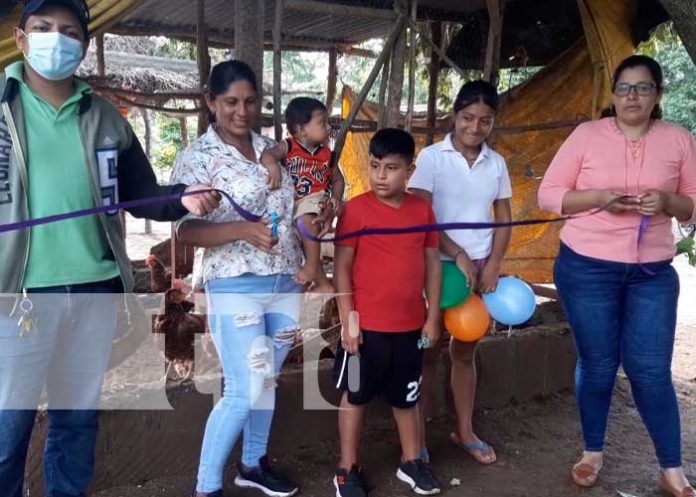 GRANADA-1 Granada avanza en la crianza de aves de corral