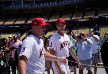 Trout será el capitán de EEUU en el Clásico Mundial mlb, grandes, ligas, angels, mlb,