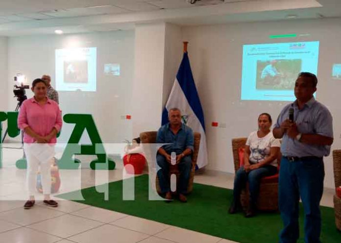 Managua-1 Foto: Productores de frijoles se familiarizaron este lunes en Managua, con nuevas alternativas sobre el manejo de la cosecha / TN8