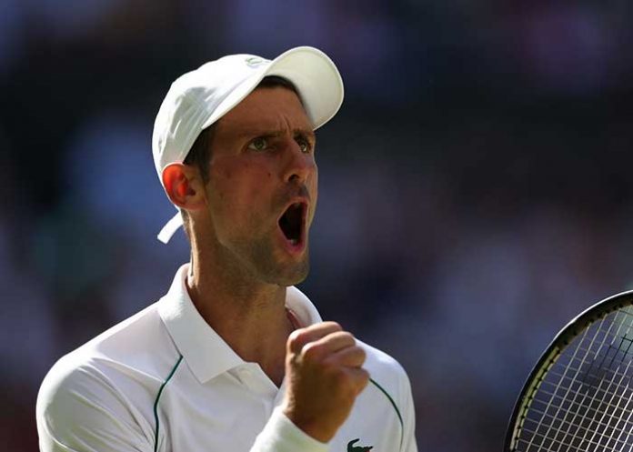Novak-web Djokovic, tenis, semifinales, wimbledon, atp