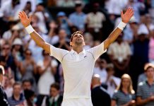 novak, djokovic, grand, slam, wimbledon,