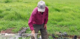 Anciano reclama el robo de su vivienda en Tipitapa