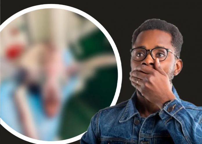 animal En Noruega encuentran especie de