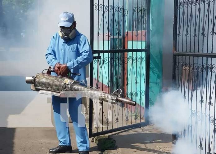 Jornada de fumigación y abatización en el barrio Domitila Lugo, Managua