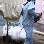 Jornada de fumigación y abatización en Managua