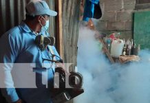 Visitan 800 hogares en el barrio Mirna Ugarte en el Distrito III de Managua Jornada de fumigación y abatización en barrios de Managua