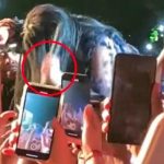Cardi B niega haber golpeado a fan durante concierto tras críticas Acusan a Cardi B de golpear con el micrófono a un fan