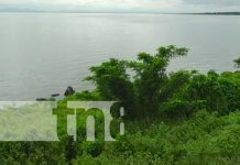 Hallan cuerpo de una persona en sector del Paseo Xolotlán, Managua