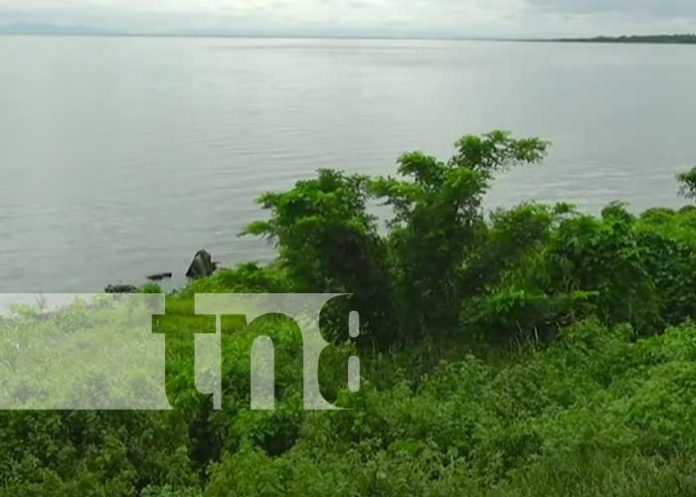 Hallan cuerpo de una persona en sector del Paseo Xolotlán, Managua