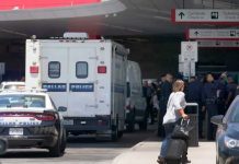 Mujer desata tiroteo en aeropuerto de Dallas, resulta herida y es detenida Mujer desata tiroteo en aeropuerto de Dallas, resulta herida y es detenida