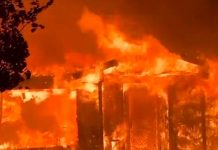Incendio forestal destruye 162 estructuras en Estados Unidos Incendio forestal destruye 162 estructuras en Estados Unidos