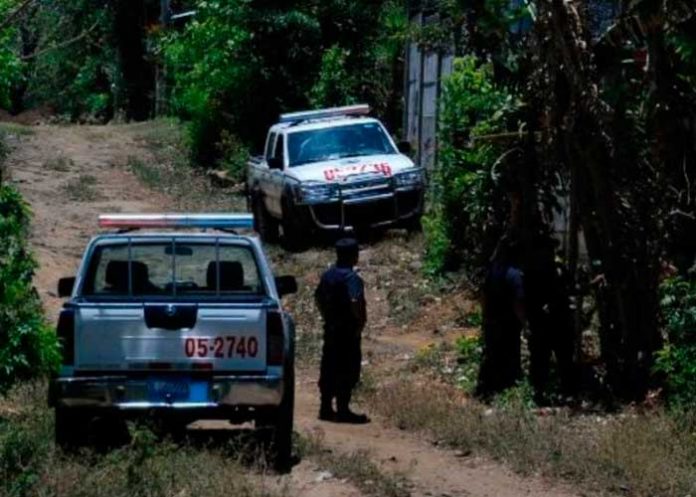 Policía mató a hombre tras aberrante violación a una perrita en El Salvador