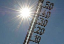 Mortal ola de calor deja más de 1.900 muertes en España ¡Es un infierno! Mortal ola de calor deja más de 1.900 muertes en España ¡Es un infierno!
