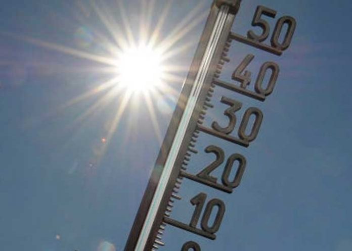 Mortal ola de calor deja más de 1.900 muertes en España ¡Es un infierno!