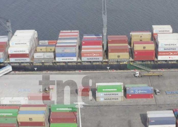 exporta-02 Actividad de exportaciones en Nicaragua