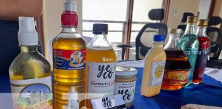 Movimiento Ambientalista realiza feria de productos orgánicos