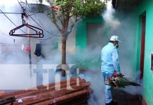 Familias de Altagracia, Managua, mejor protegidas contra zancudos Jornada de fumigación casa a casa en Managua