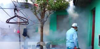Jornada de fumigación casa a casa en Managua