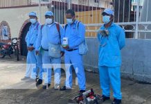 Jornada de fumigación y abatización en más de 400 viviendas en Managua Jornada de fumigacion y abatización en Managua