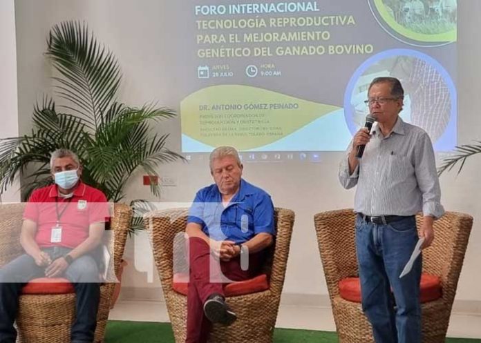 inta-ganaderia-3 Foro sobre intercambio genético de la ganadería en Nicaragua