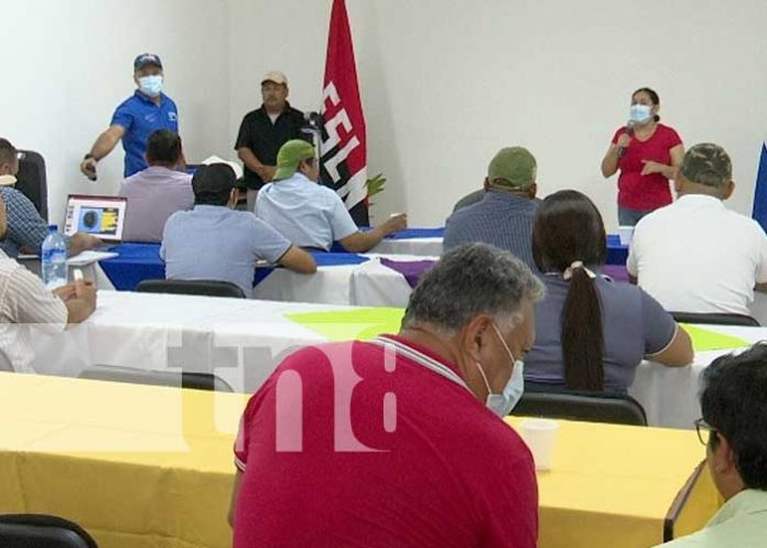 Curso del INTA sobre tecnología ovino y caprino