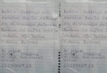 No tenía para imprimir pero llovieron ofertas en Sonora