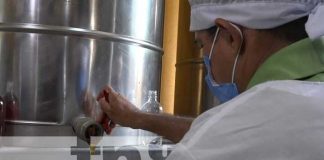 Cooperativa de producción de miel en León