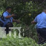 Hallan cadáver en una maleza del sector León hacia Poneloya Hallazgo de cadáver en León, Poneloya