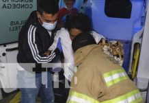 Reporte del estado de los lesionados en accidente de La Cucamonga, Estelí Estado de salud de los lesionados en La Cucamonga, Estelí