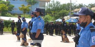 Preparados policías y sus canes tras curso en Managua