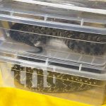 Taller del MARENA y el MINSA sobre serpientes venenosas en Nicaragua