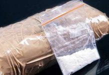 Incautan en México más de 1. 5 toneladas cocaína proveniente de Colombia Incautan en México más de 1. 5 toneladas cocaína proveniente de Colombia