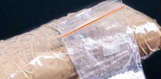 Incautan en México más de 1. 5 toneladas cocaína proveniente de Colombia