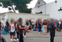 Arrestan a cuatro «coyotes» con más de 200 migrantes en México Arrestan a dos "coyotes" con más de 200 migrantes en México