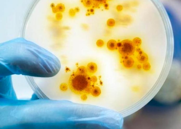 Uruguay recordó a población consultar prestador de salud