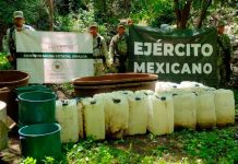 Desmantelan al menos 129 laboratorios de droga en México Desmantelan al menos 129 laboratorios de droga en México