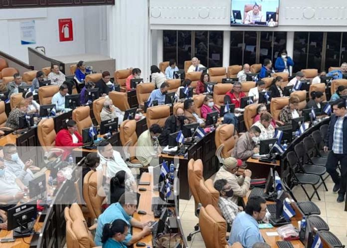 ong-asamblea-2 Sesión parlamentaria en la Asamblea Nacional de Nicaragua