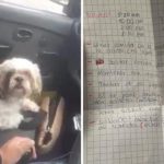 Ingrato: Abandona a su perrito en un taxi y deja instrucciones en papel La nota en taxi decía "mantener con agua, darle galleta”