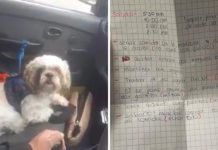 Ingrato: Abandona a su perrito en un taxi y deja instrucciones en papel La nota en taxi decía "mantener con agua, darle galleta”