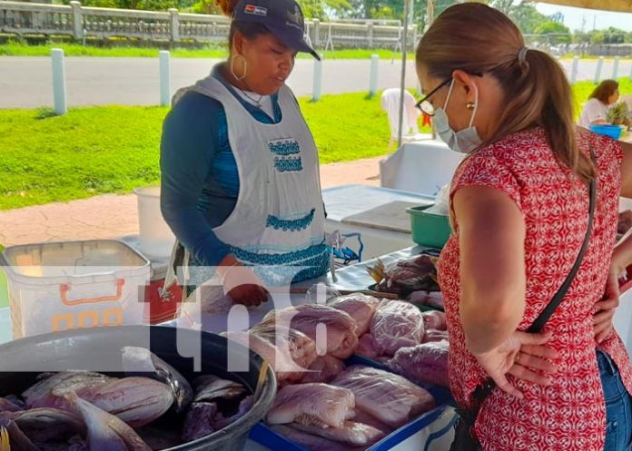 Cada quince días se hace en Managua la 